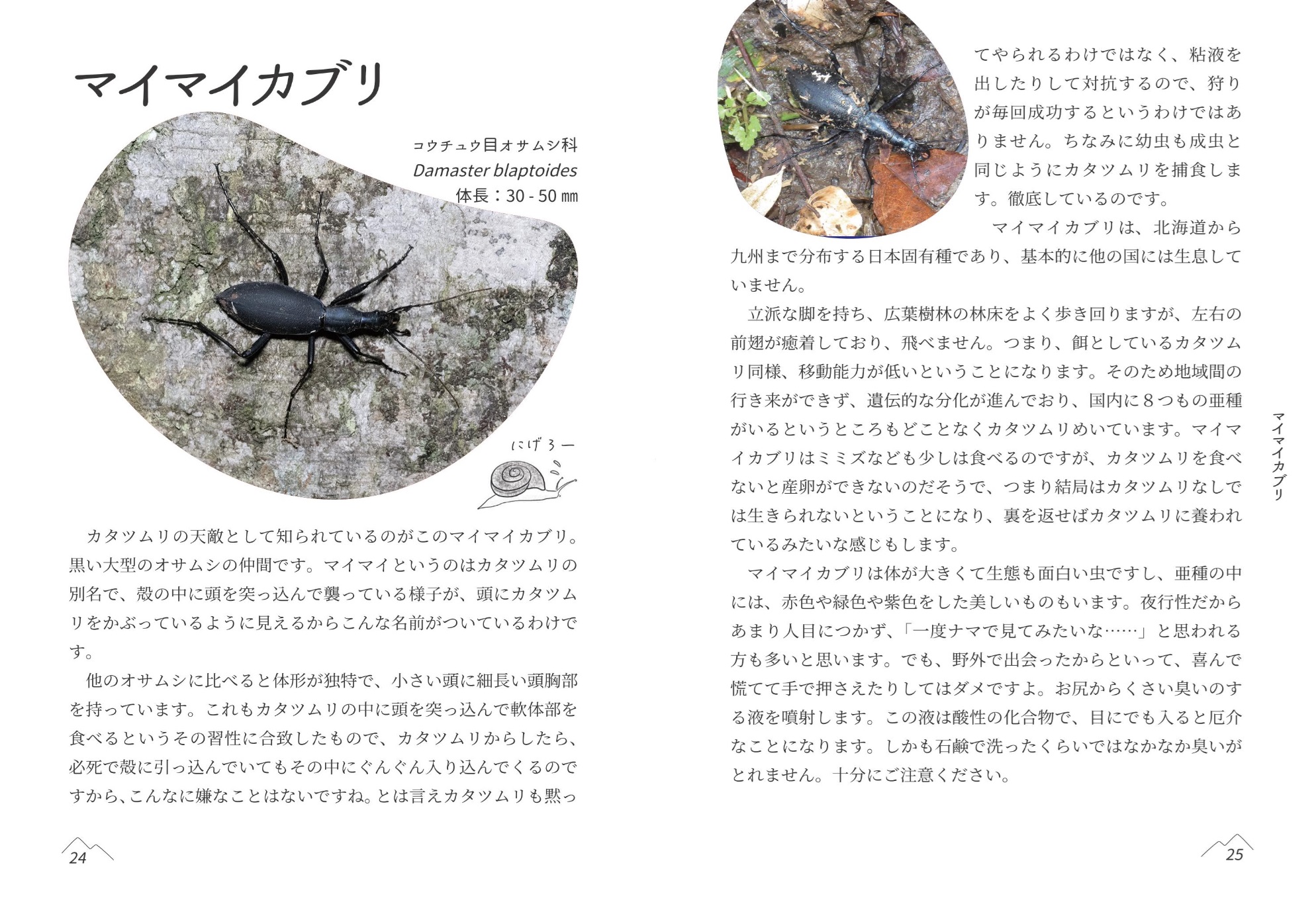 サムネイル画像2