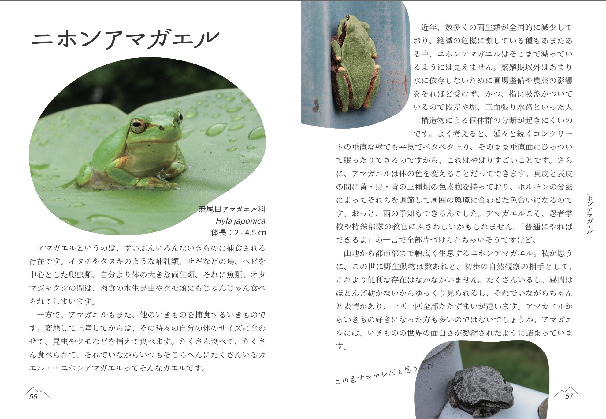 サムネイル画像3