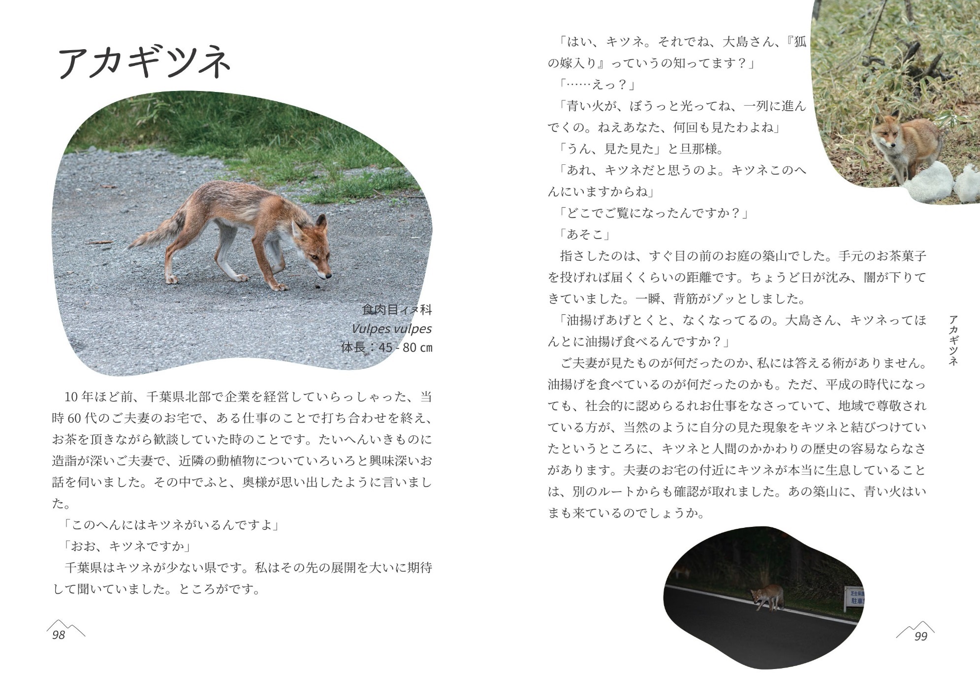 サムネイル画像4