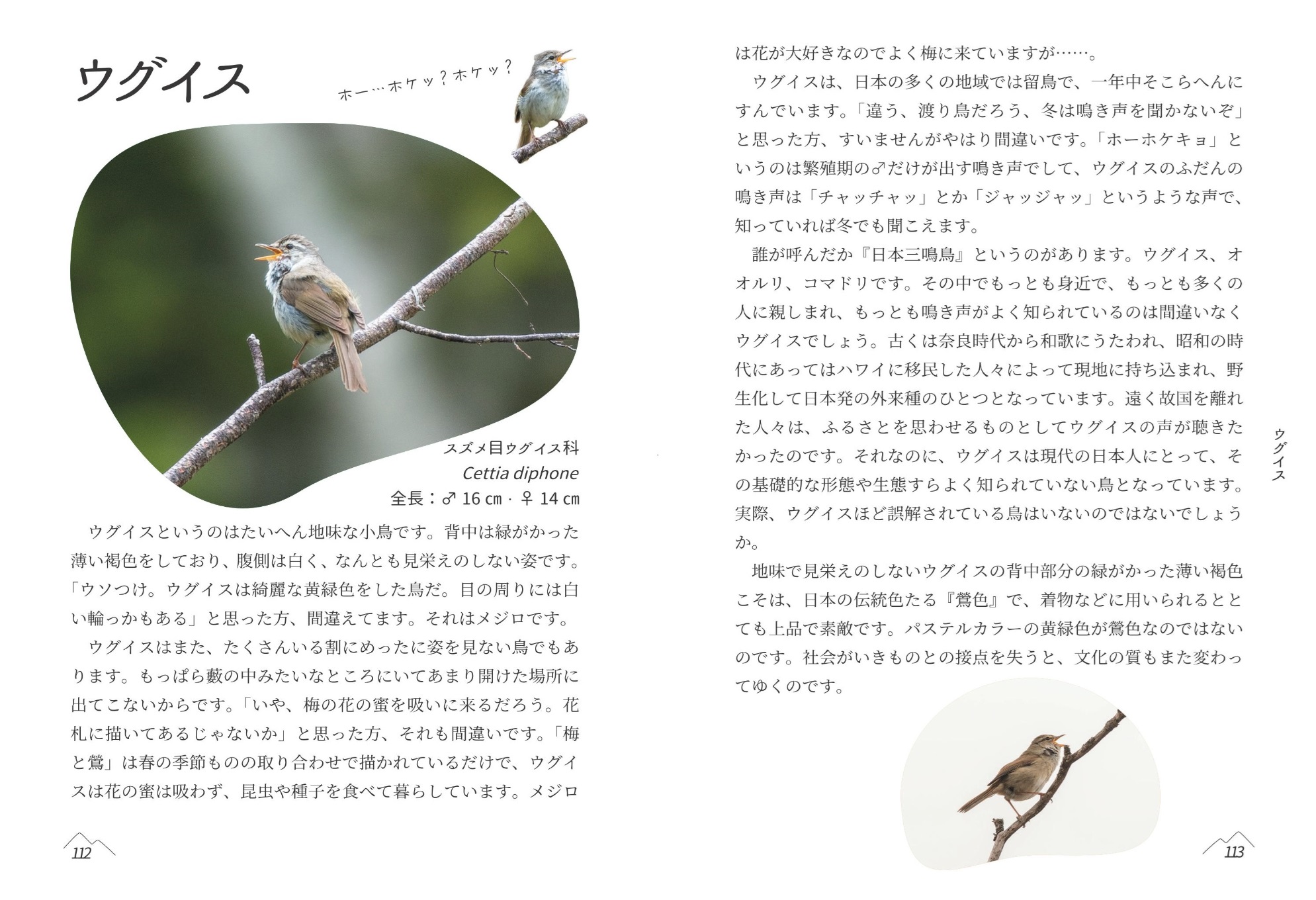 サムネイル画像5
