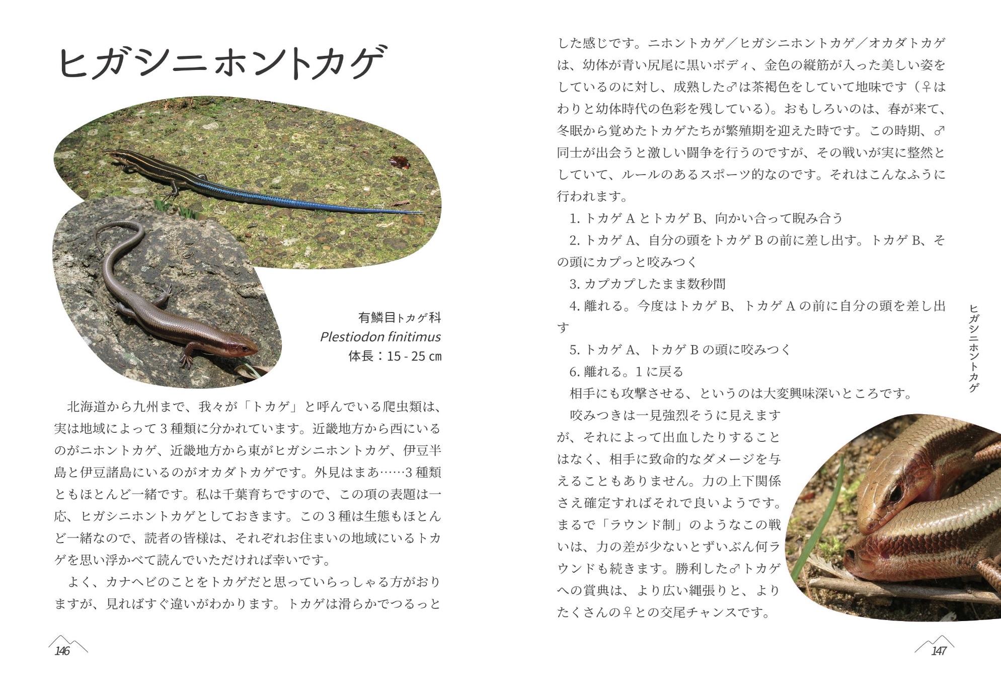 サムネイル画像6