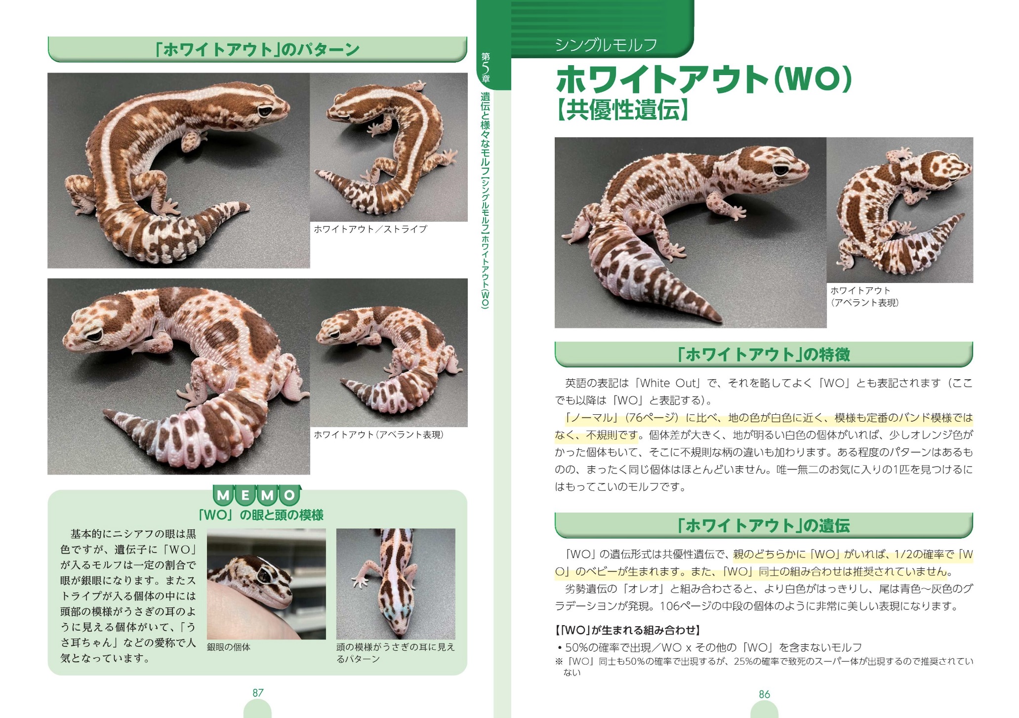 サムネイル画像4