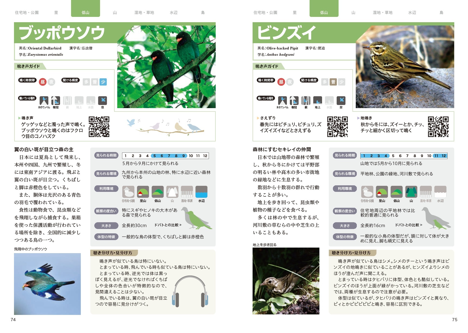 サムネイル画像4
