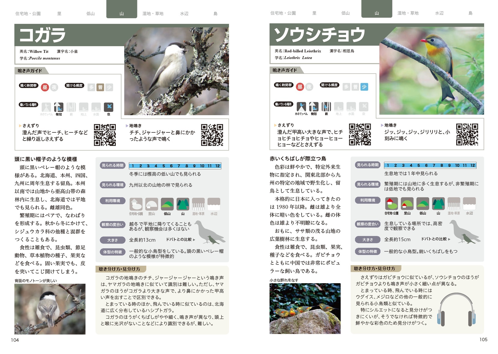 サムネイル画像5