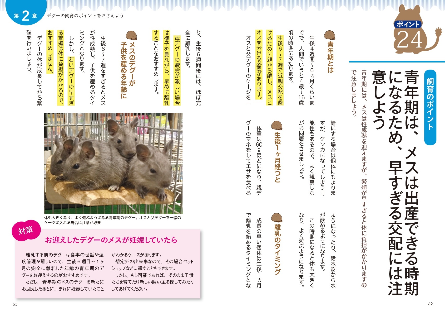 サムネイル画像3