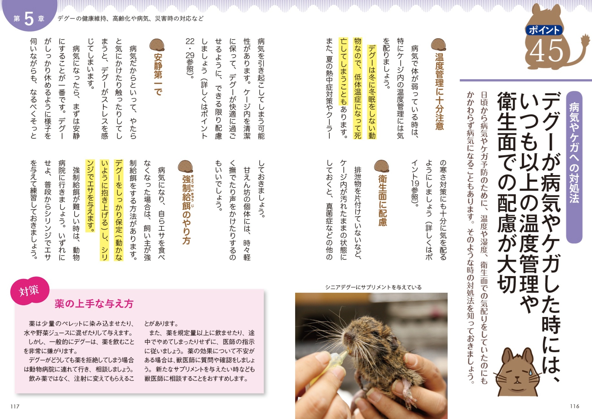 サムネイル画像4
