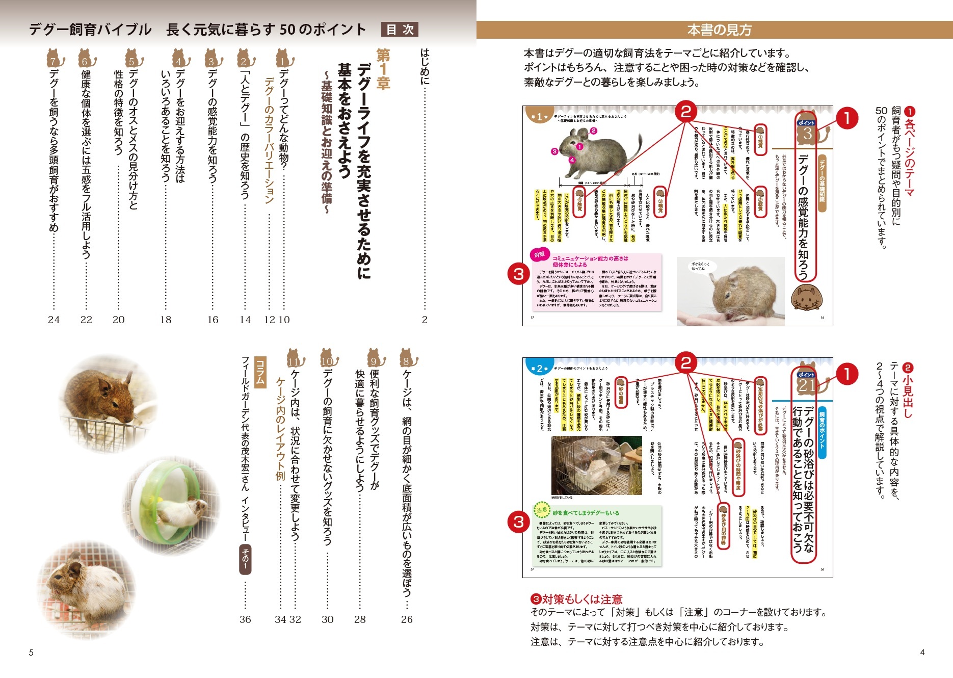 サムネイル画像5