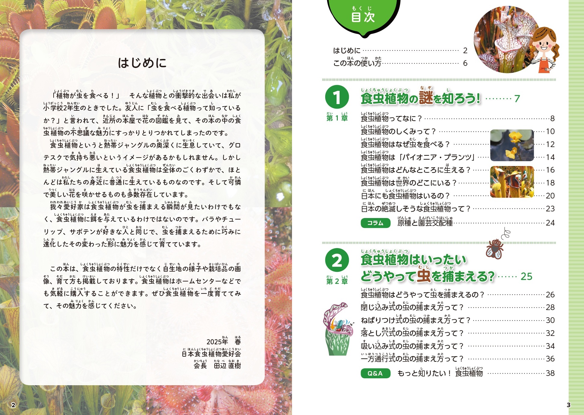 サムネイル画像1