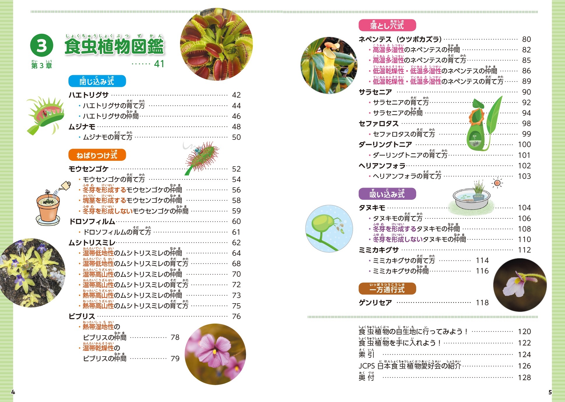 サムネイル画像2