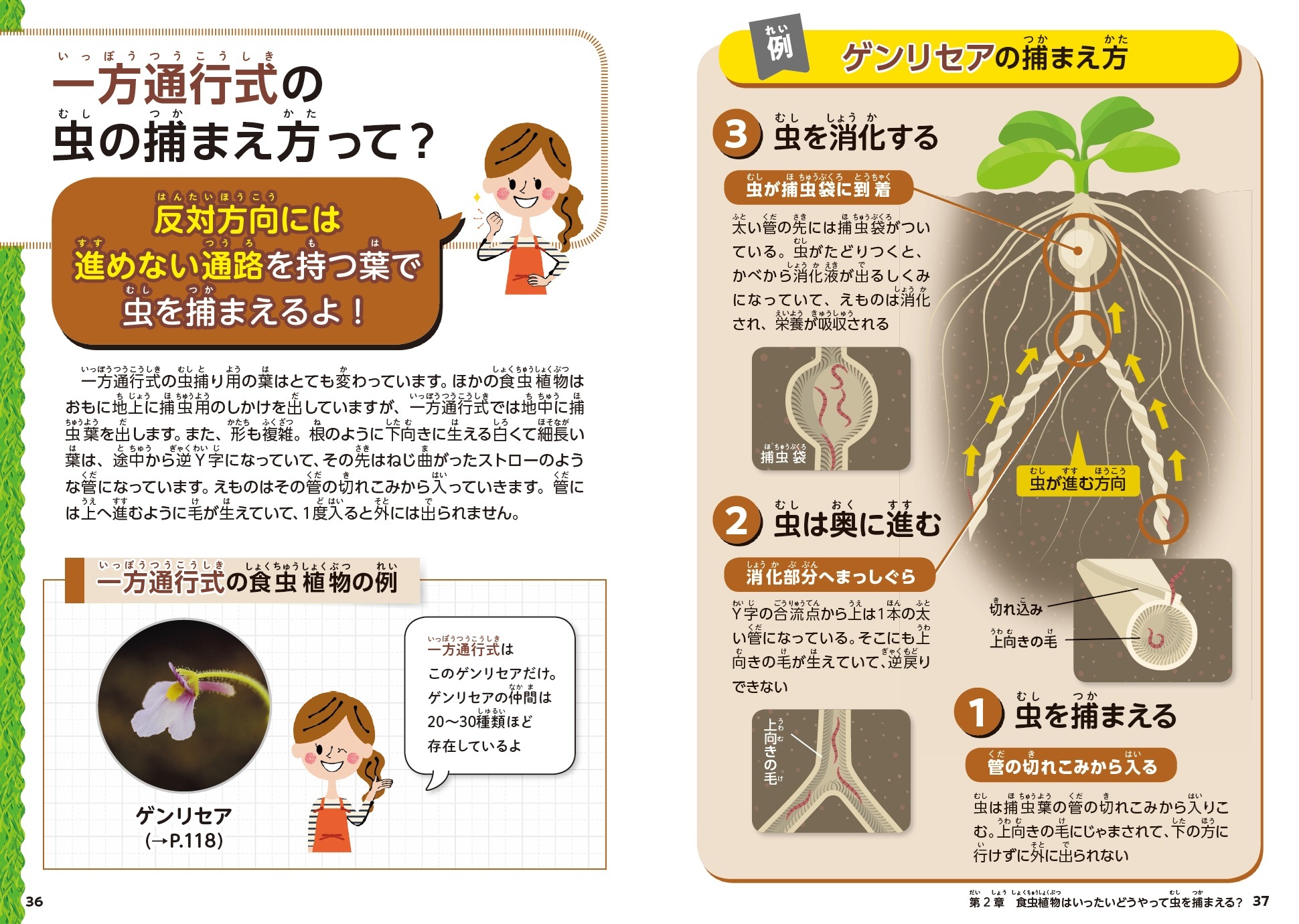 サムネイル画像3