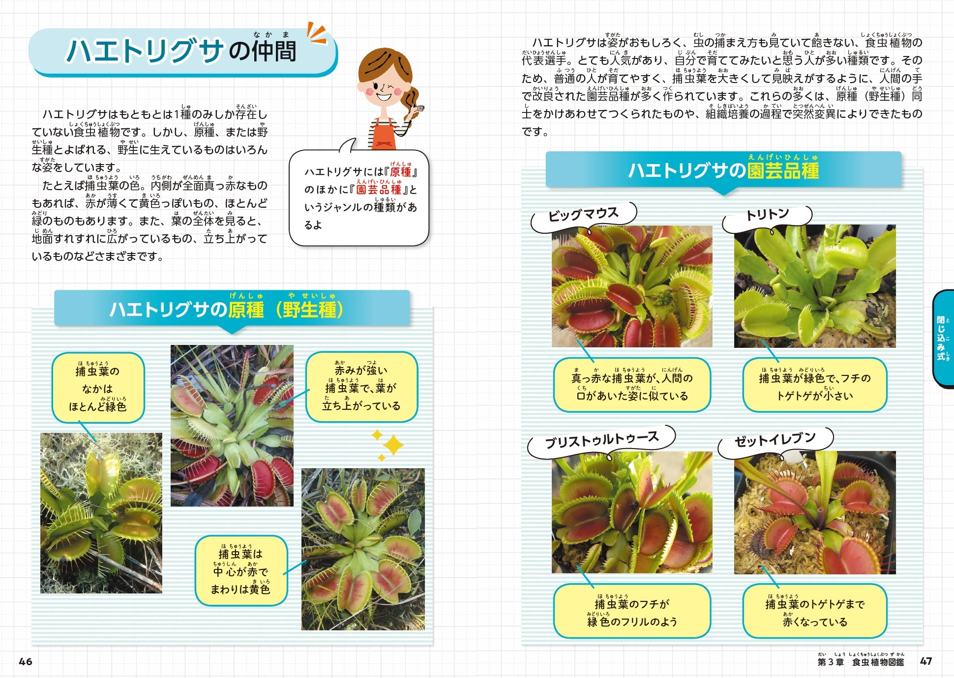 サムネイル画像4