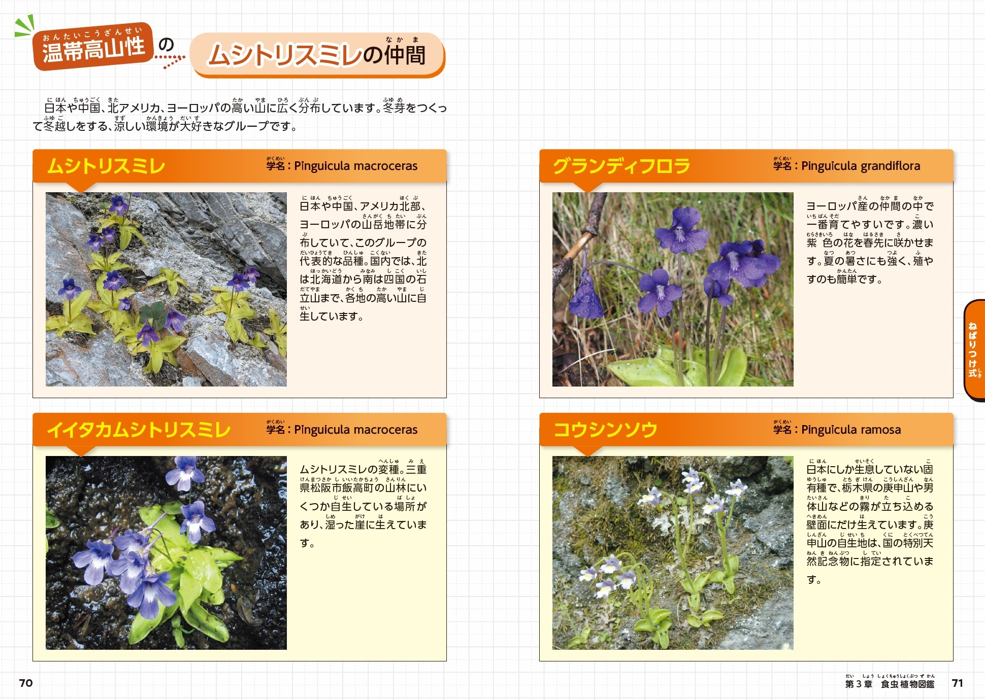 サムネイル画像5