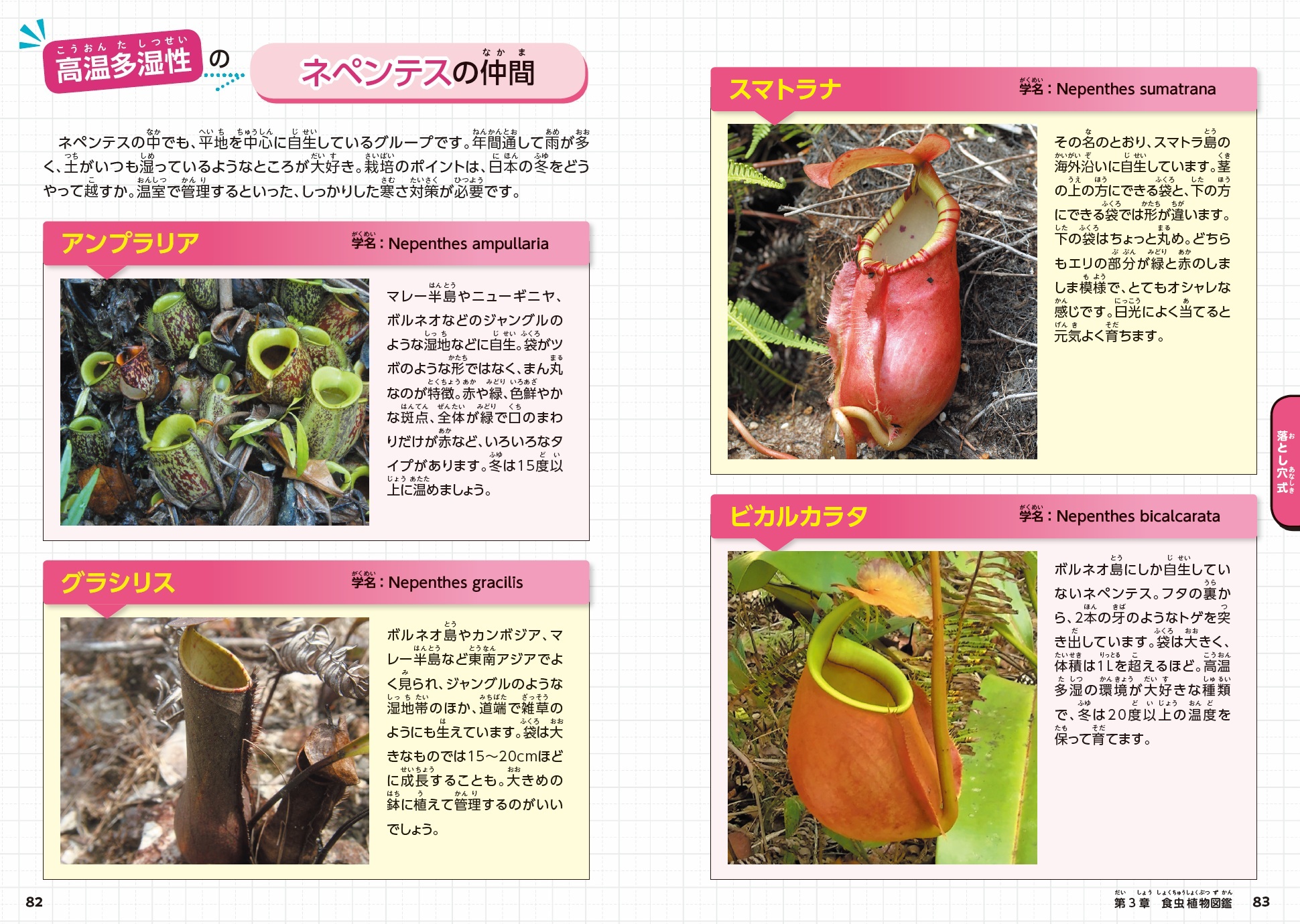 サムネイル画像6