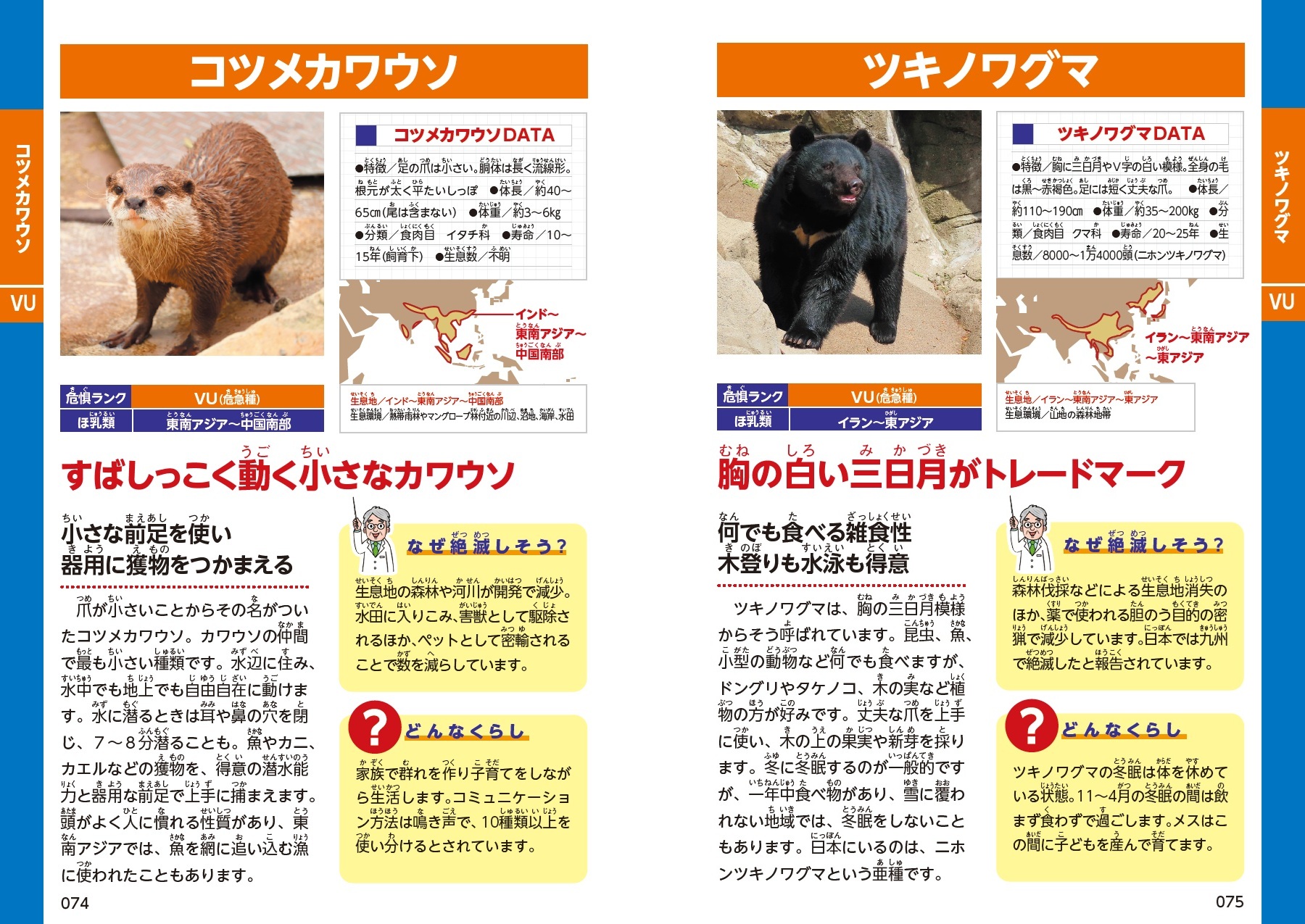 サムネイル画像2