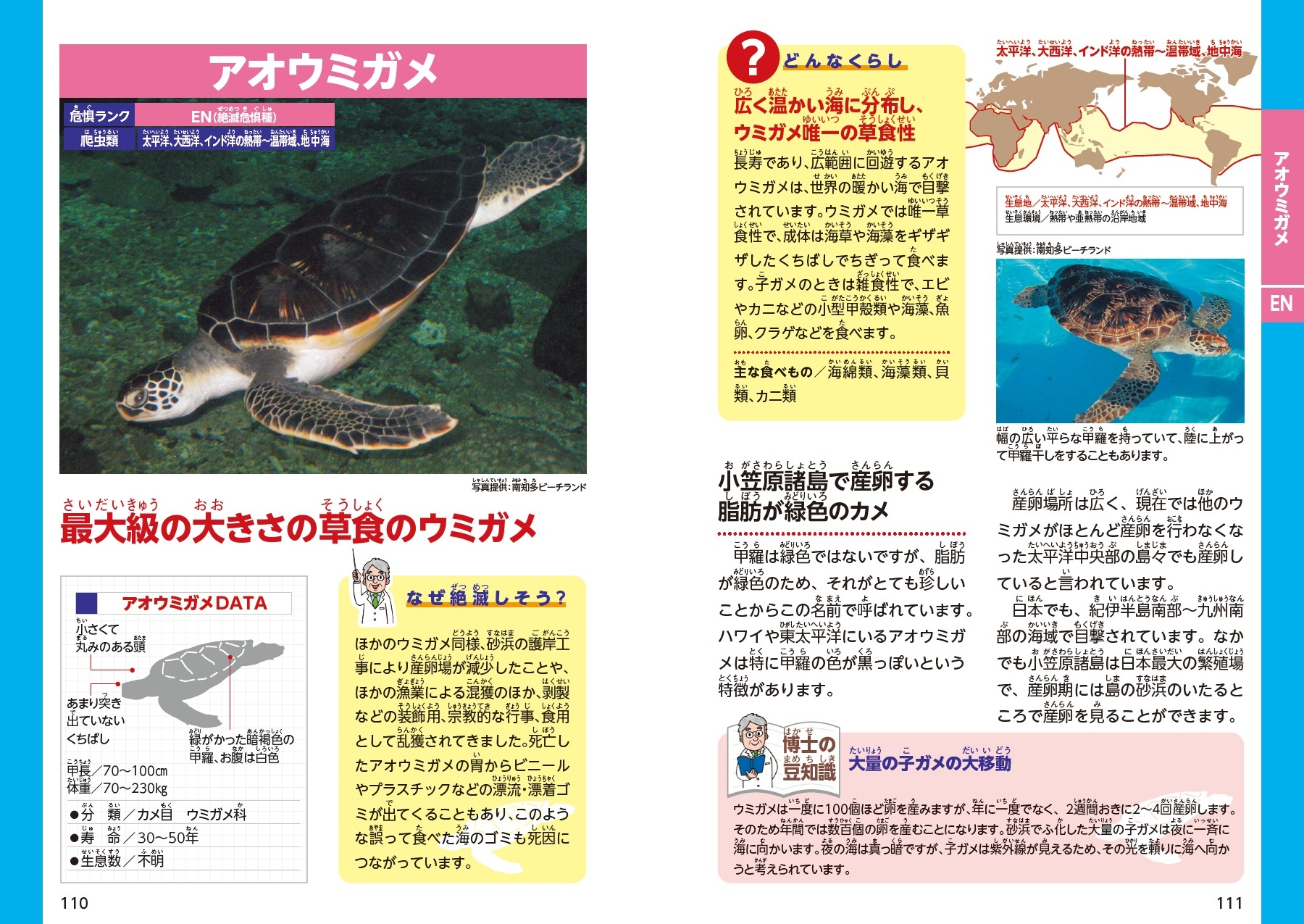 サムネイル画像4