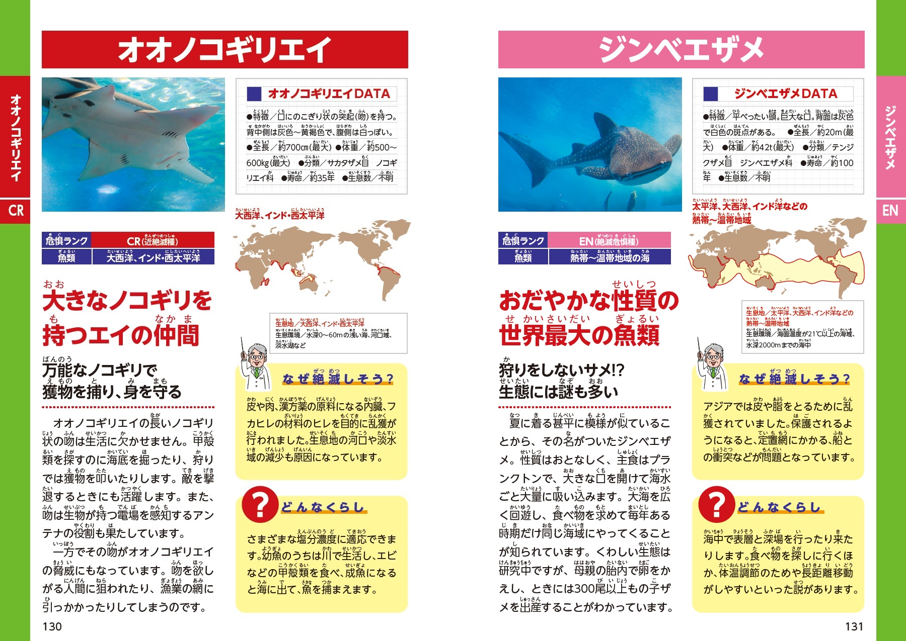 サムネイル画像5