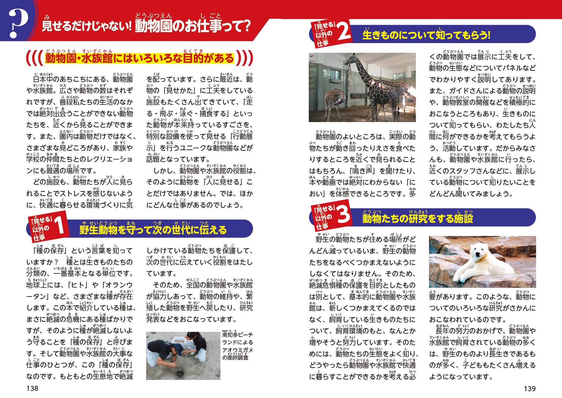 サムネイル画像6
