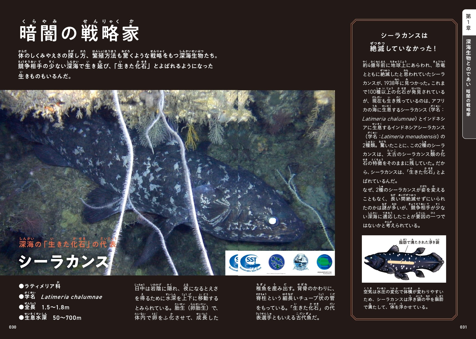 サムネイル画像2