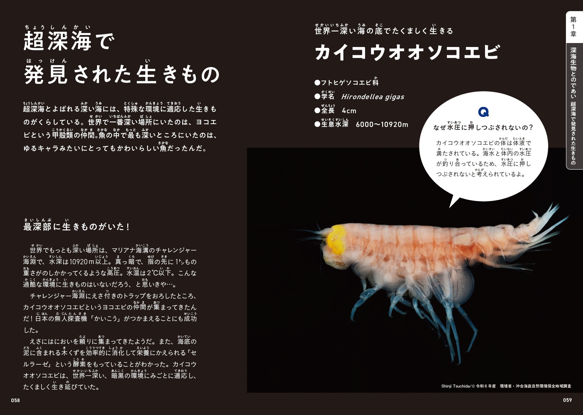 サムネイル画像3