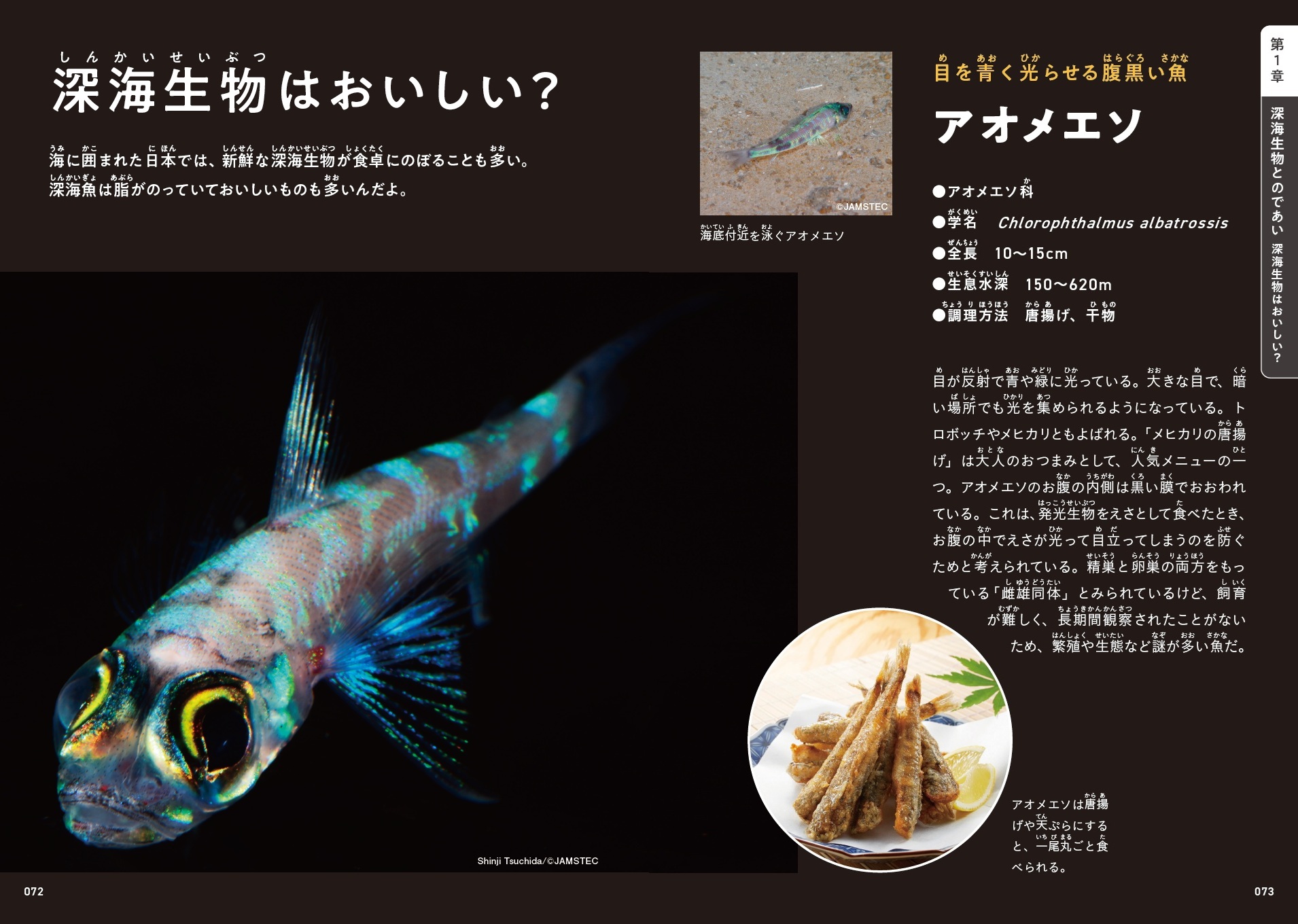 サムネイル画像5