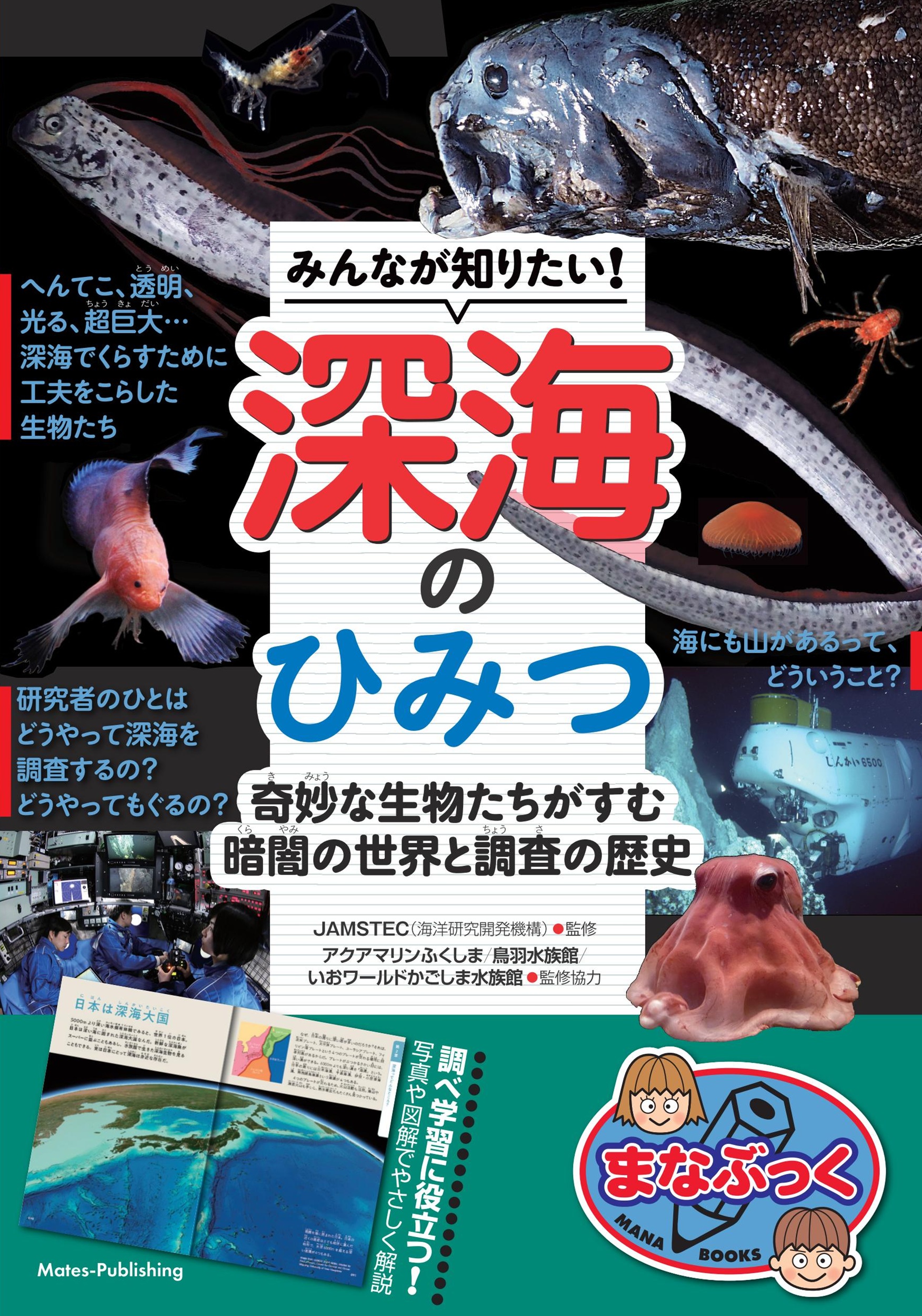 メイン画像