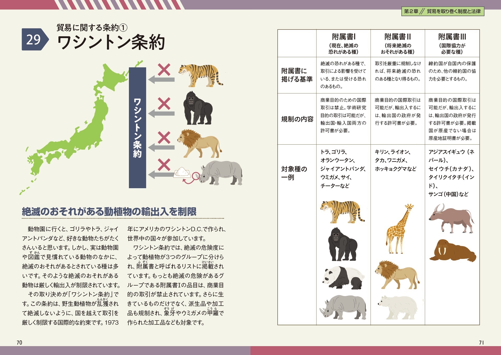 サムネイル画像5