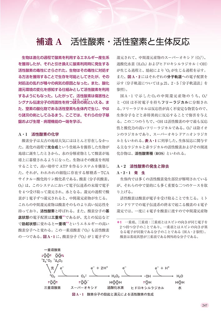 サムネイル画像5