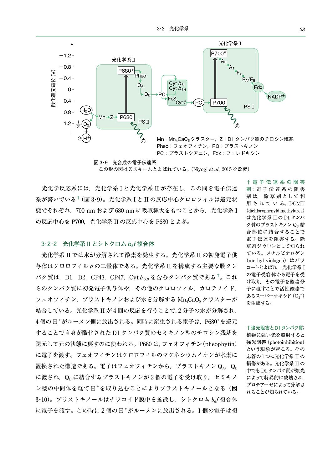 サムネイル画像2