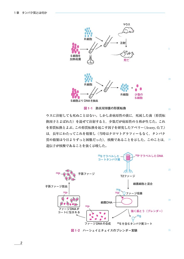 サムネイル画像2