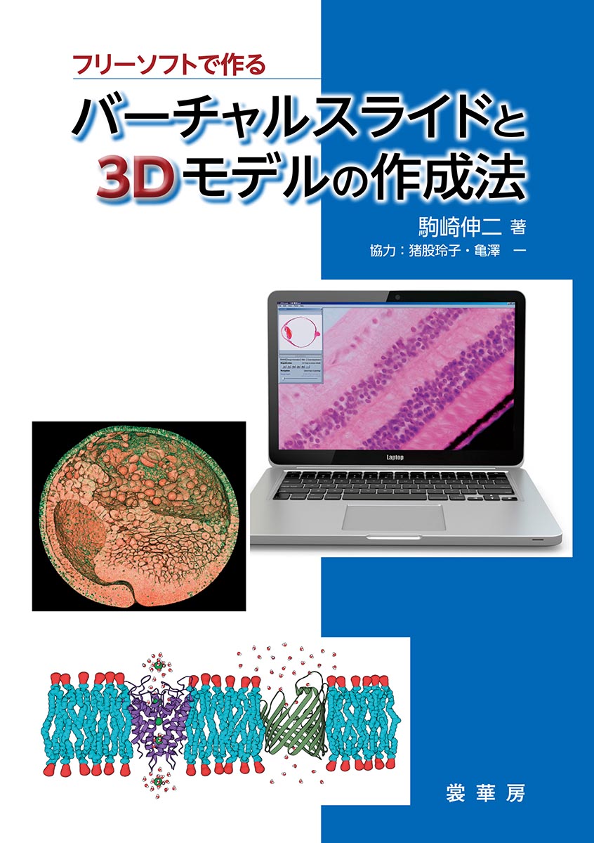 メイン画像