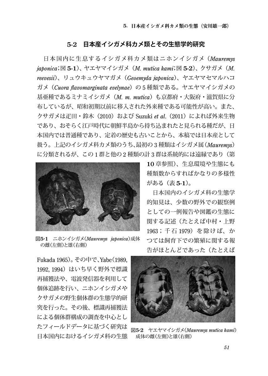 サムネイル画像5