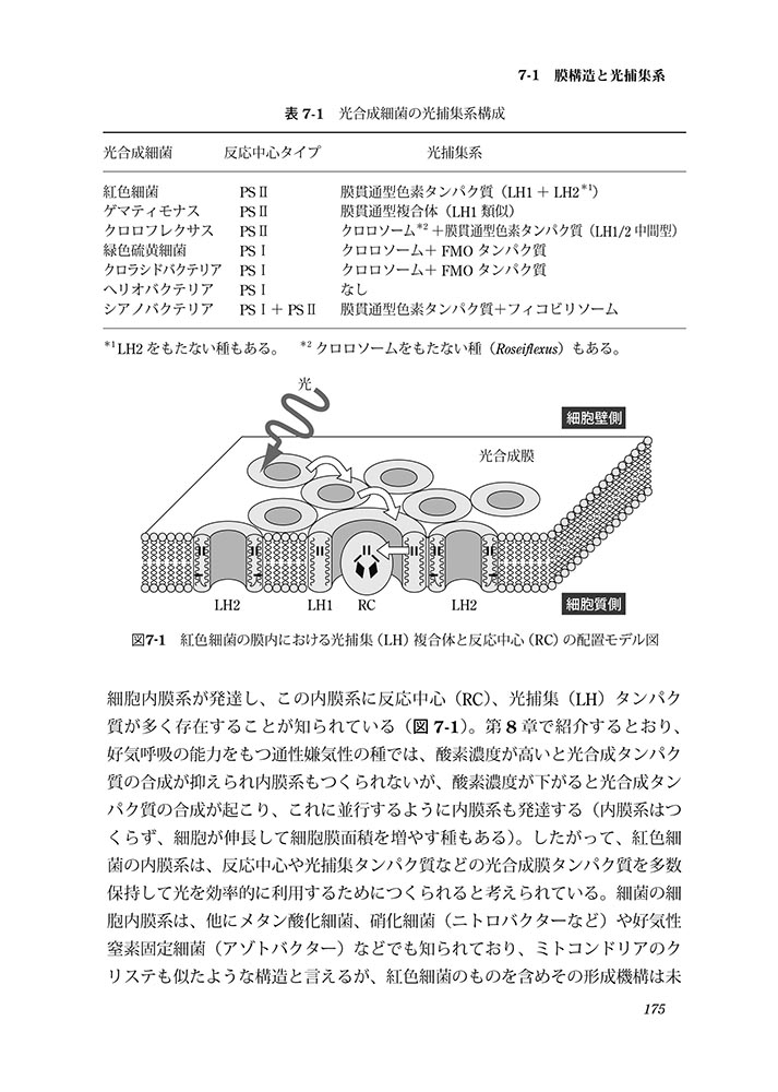 サムネイル画像5