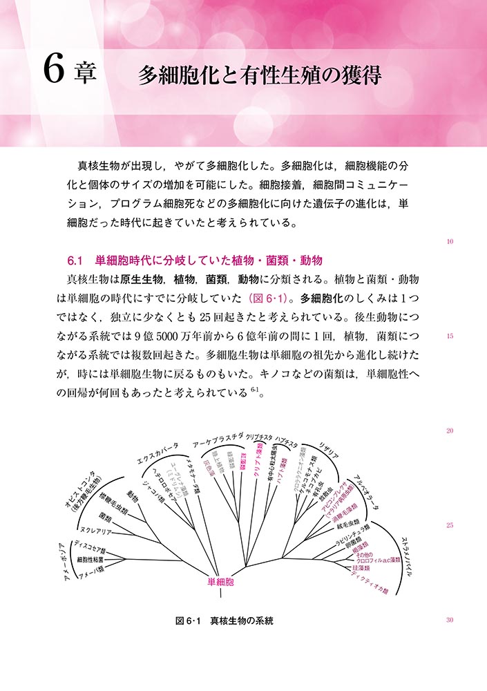サムネイル画像4