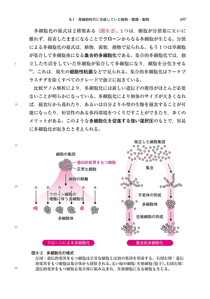 サムネイル画像5