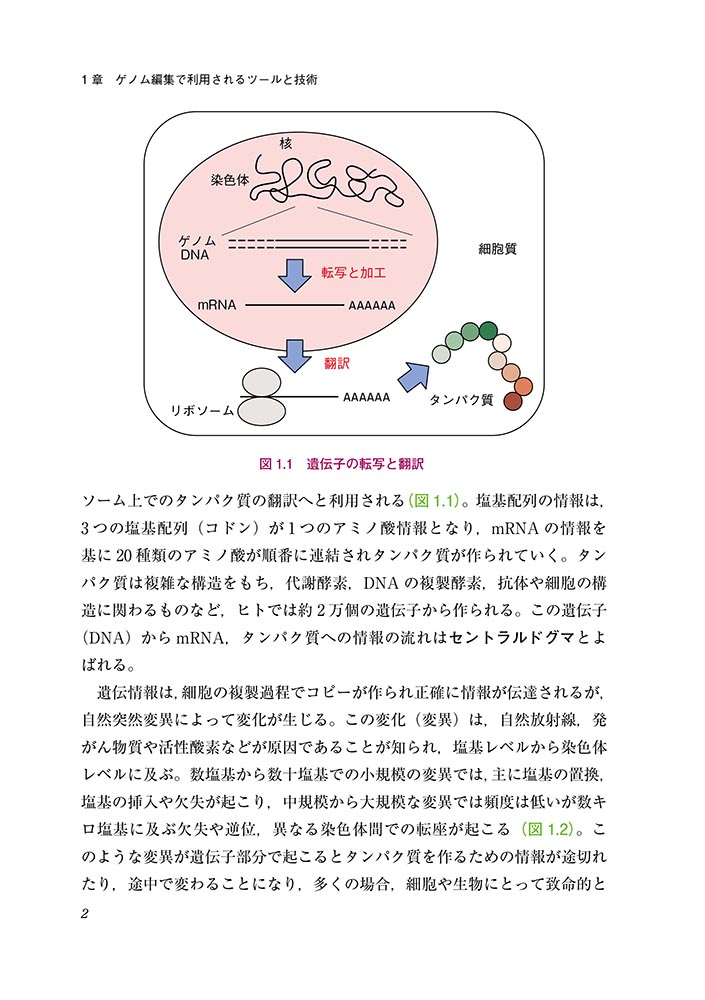 サムネイル画像2