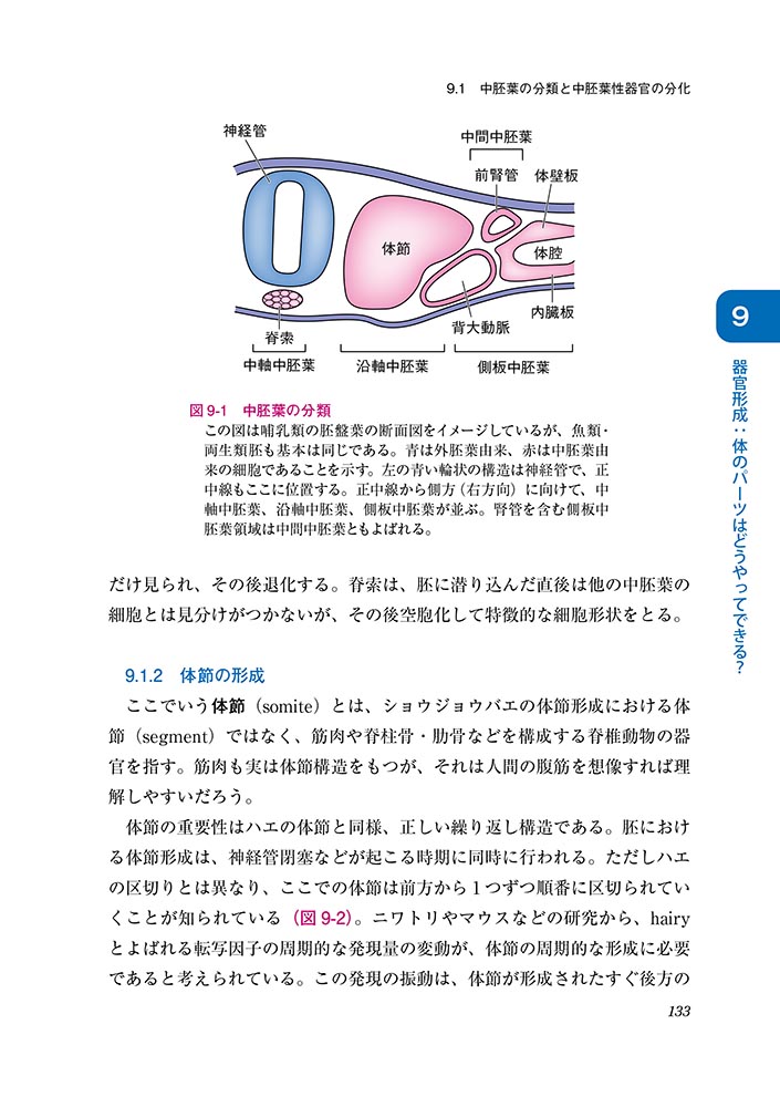 サムネイル画像4
