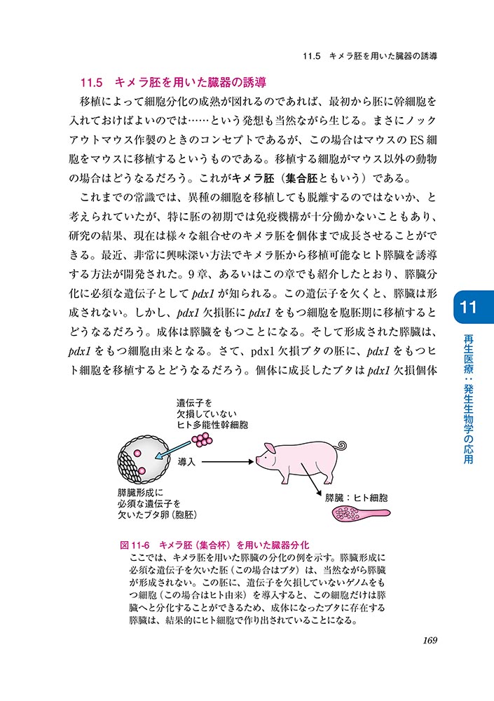 サムネイル画像5