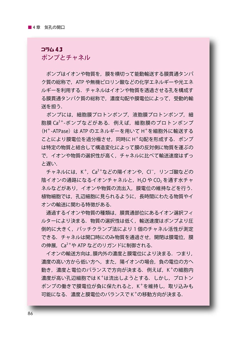 サムネイル画像3