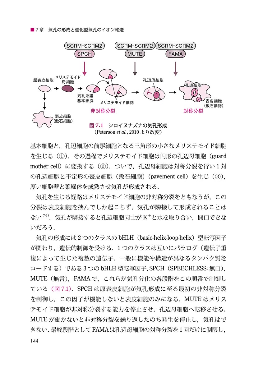 サムネイル画像5