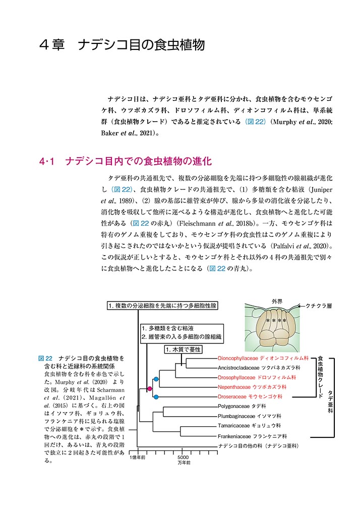 サムネイル画像3