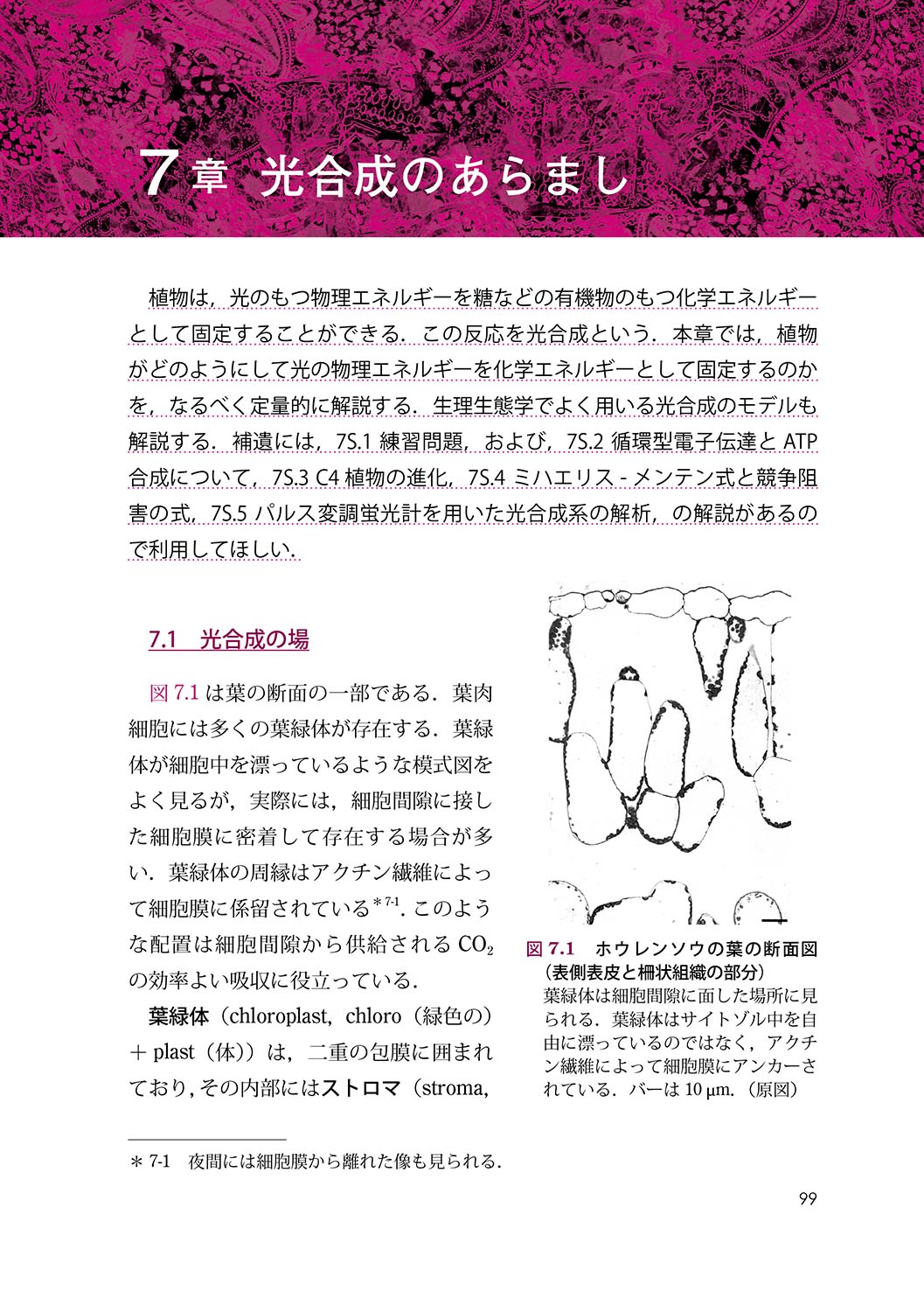 サムネイル画像5
