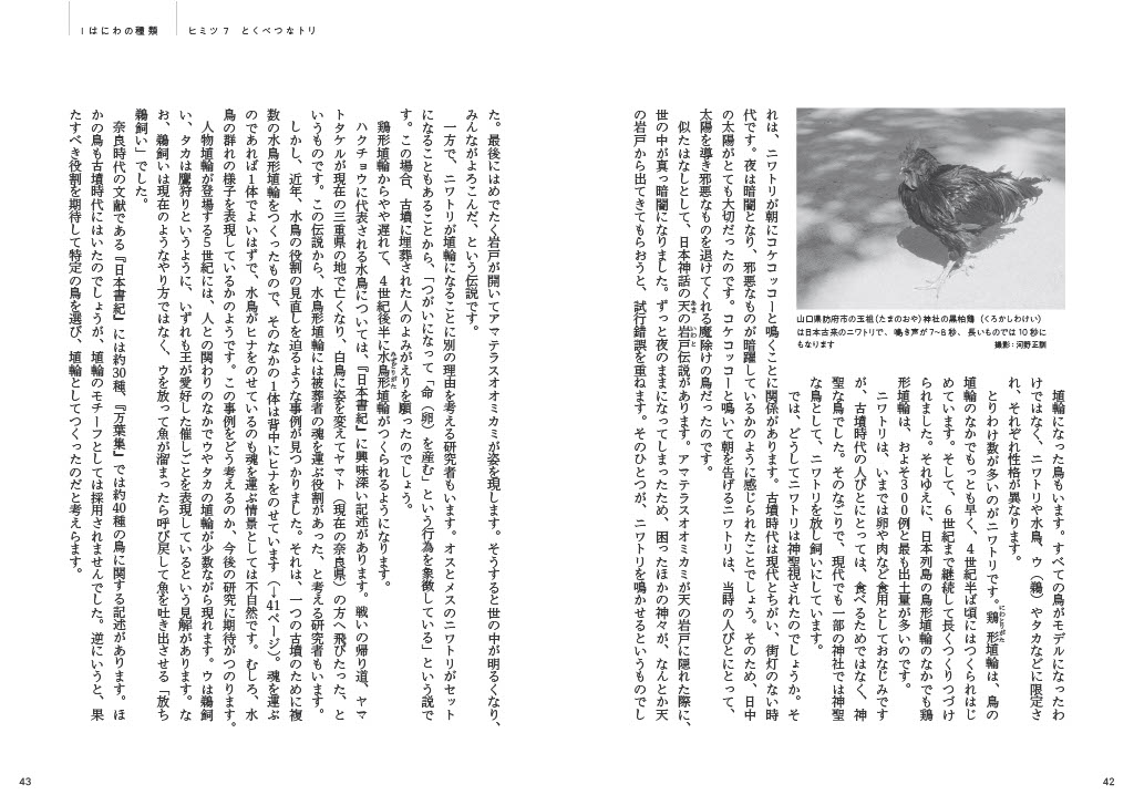 サムネイル画像5