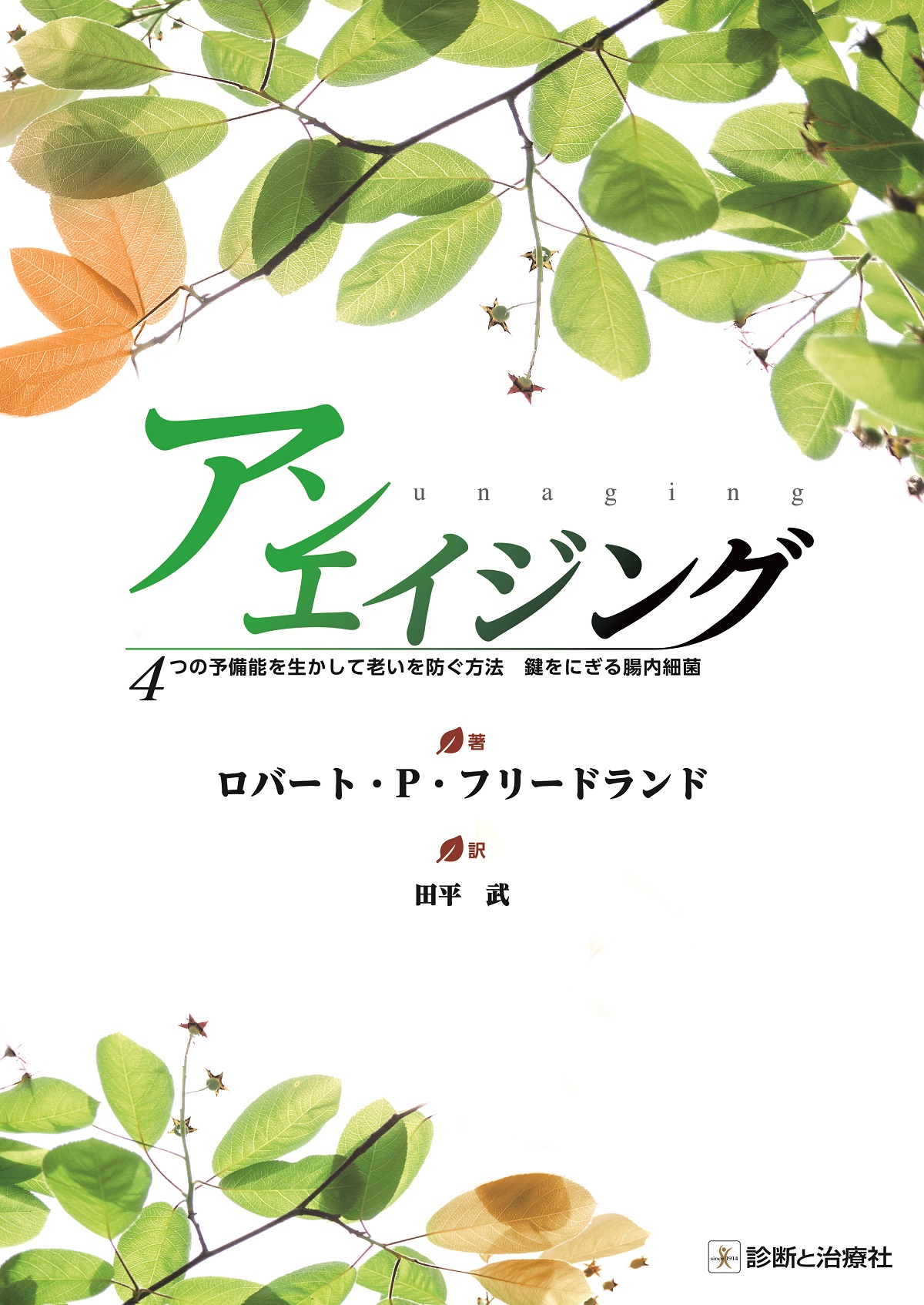 メイン画像