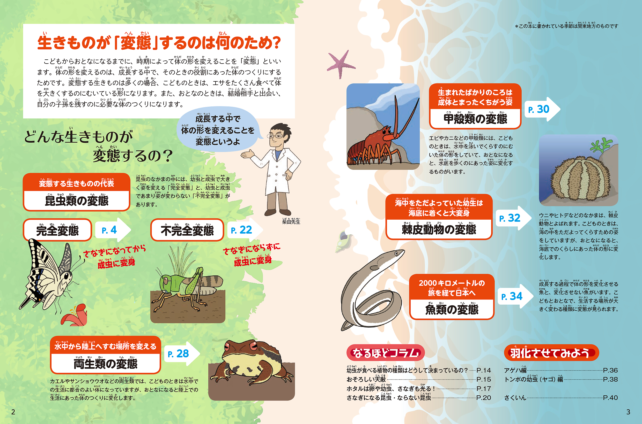 サムネイル画像1