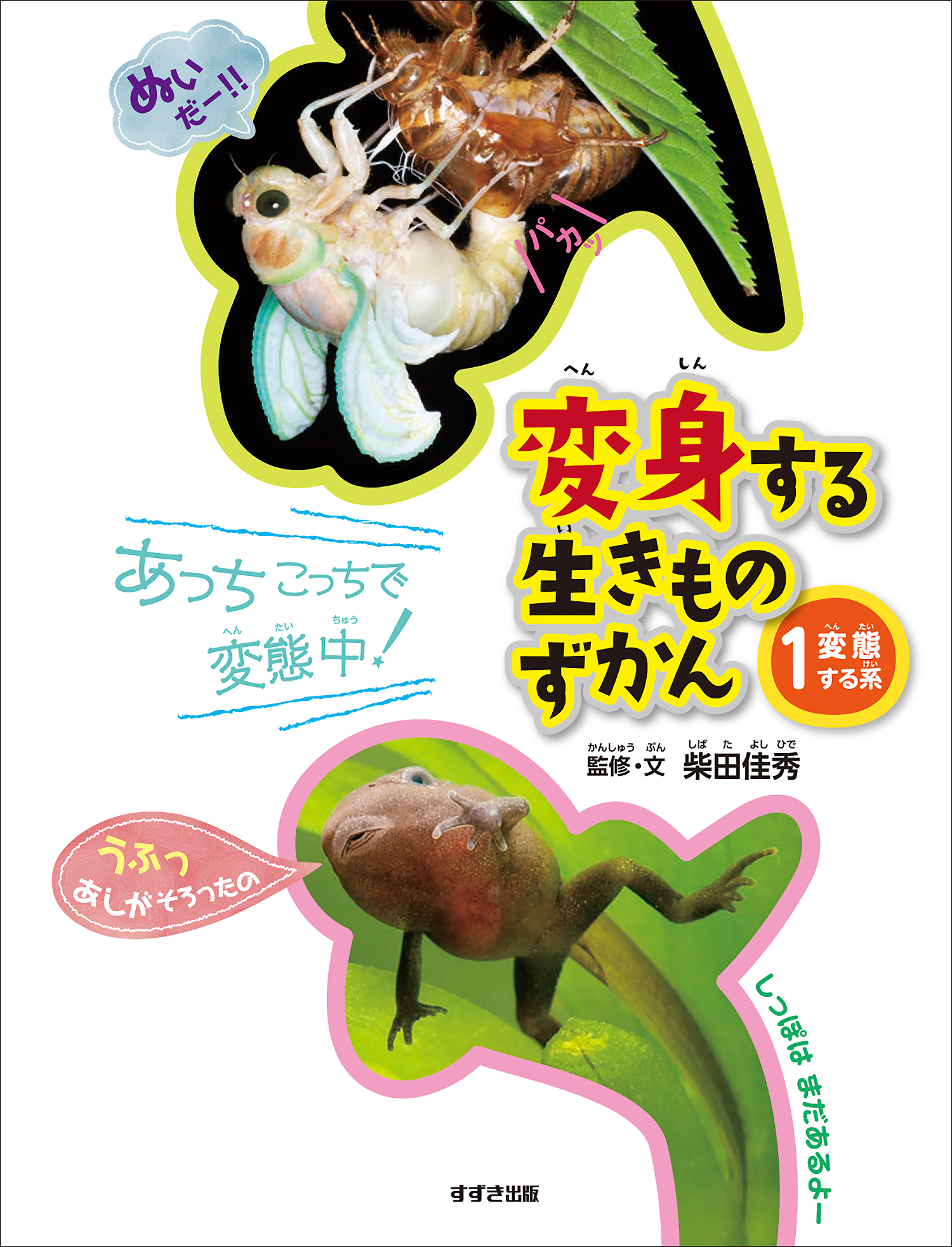 サムネイル画像3