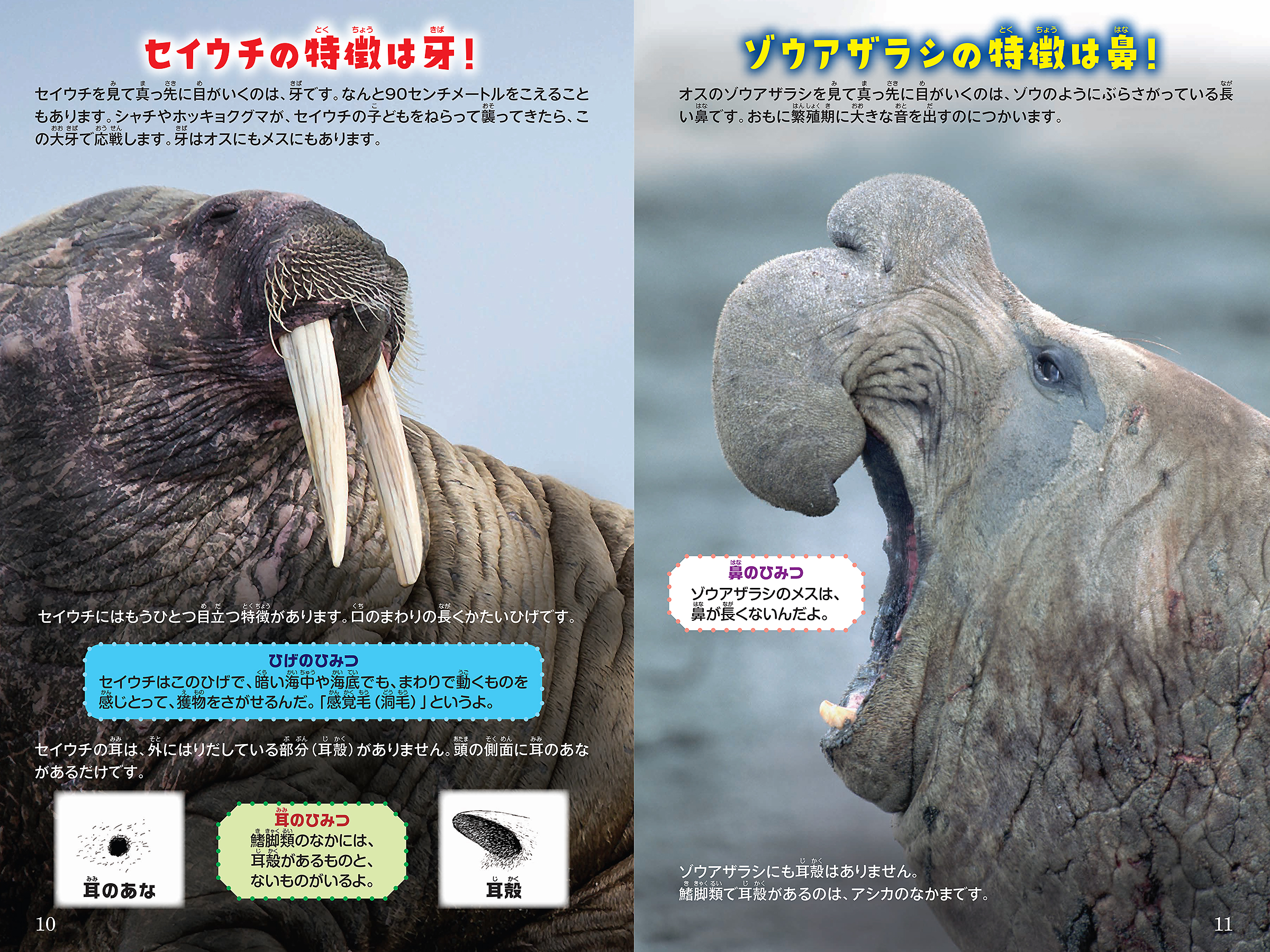 サムネイル画像1