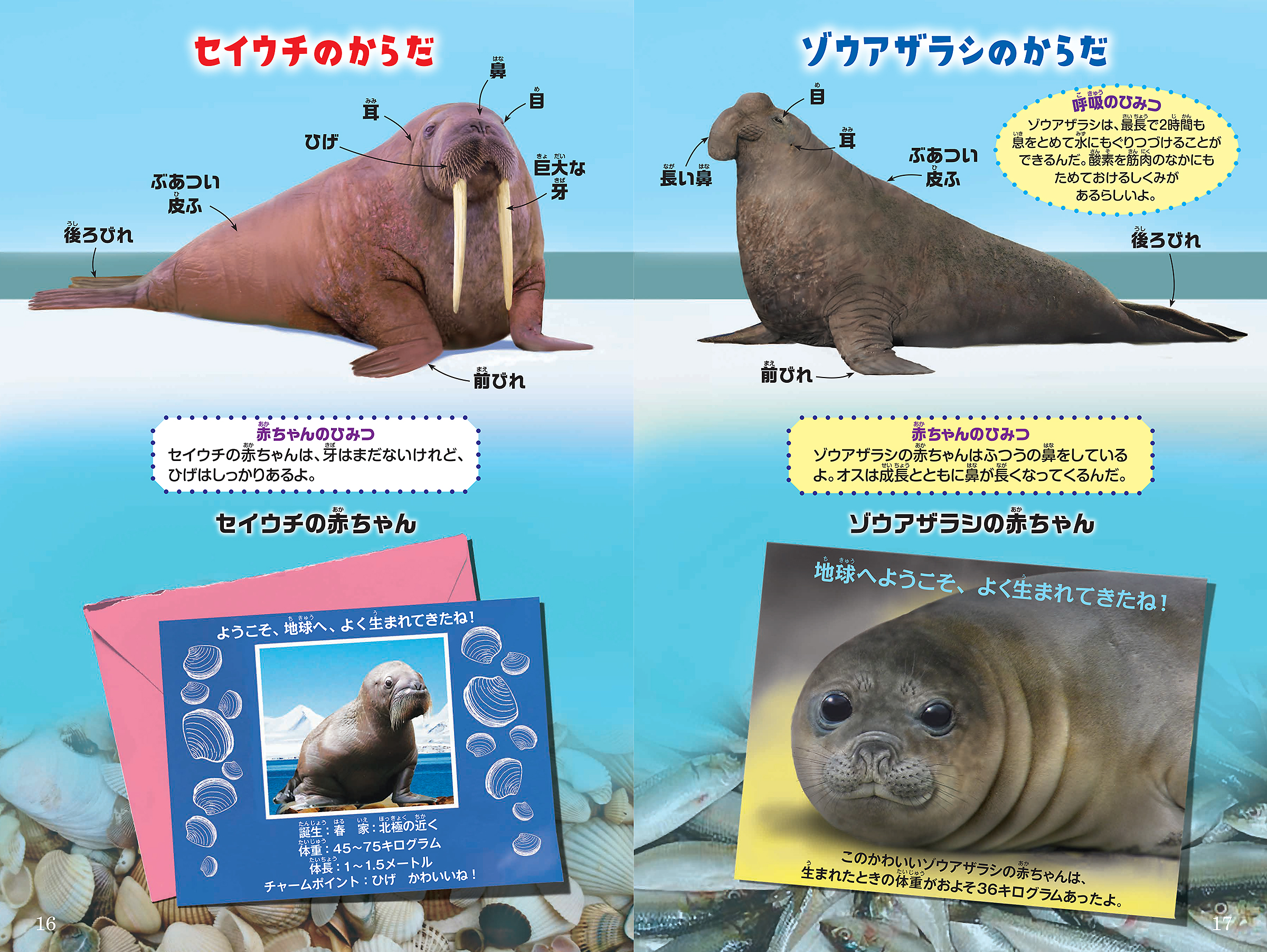 サムネイル画像2