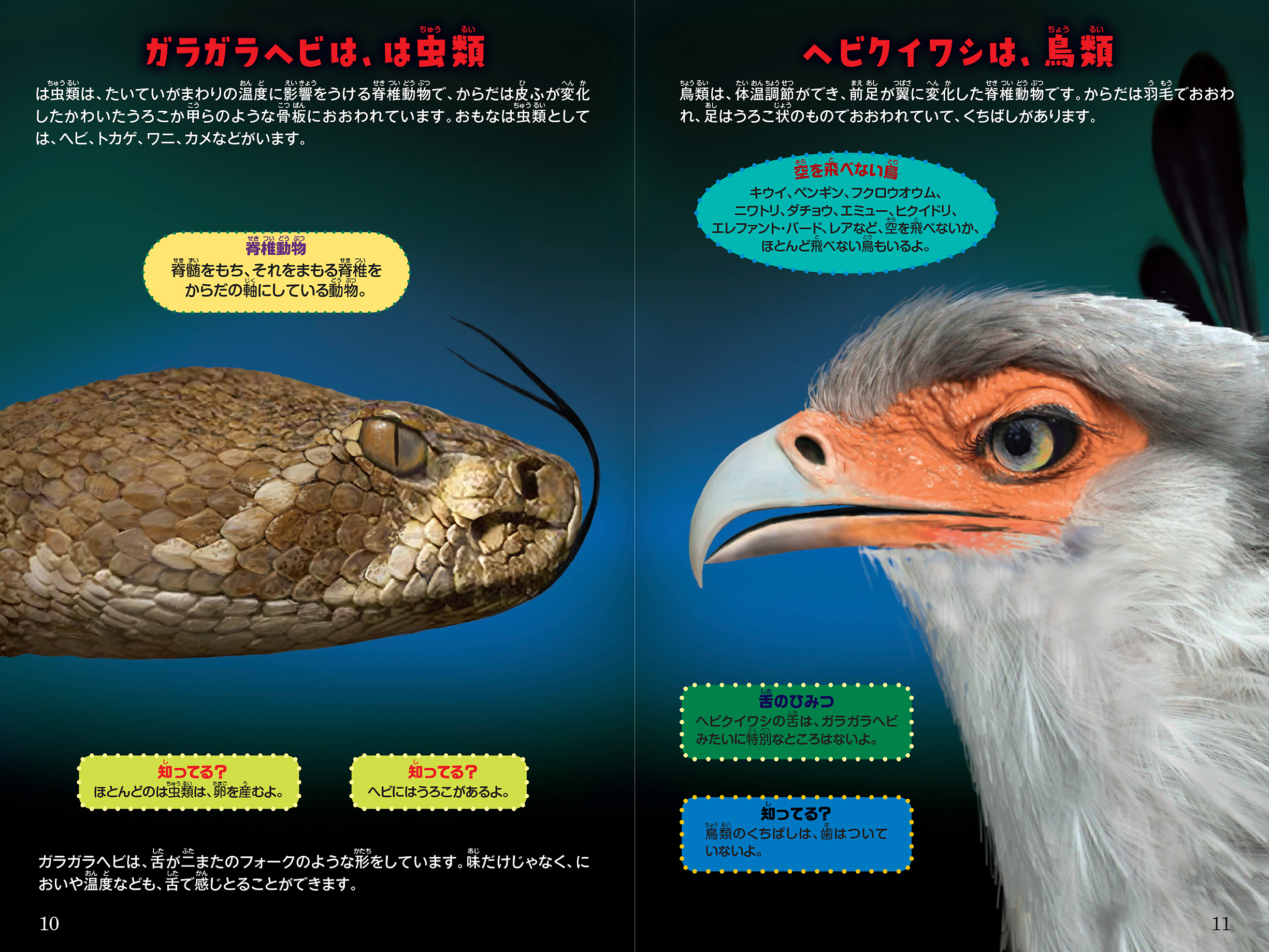 サムネイル画像1