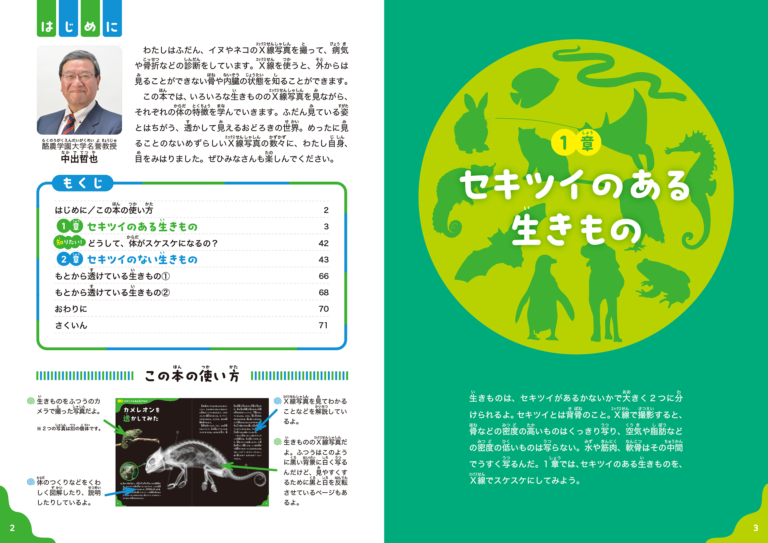 サムネイル画像1
