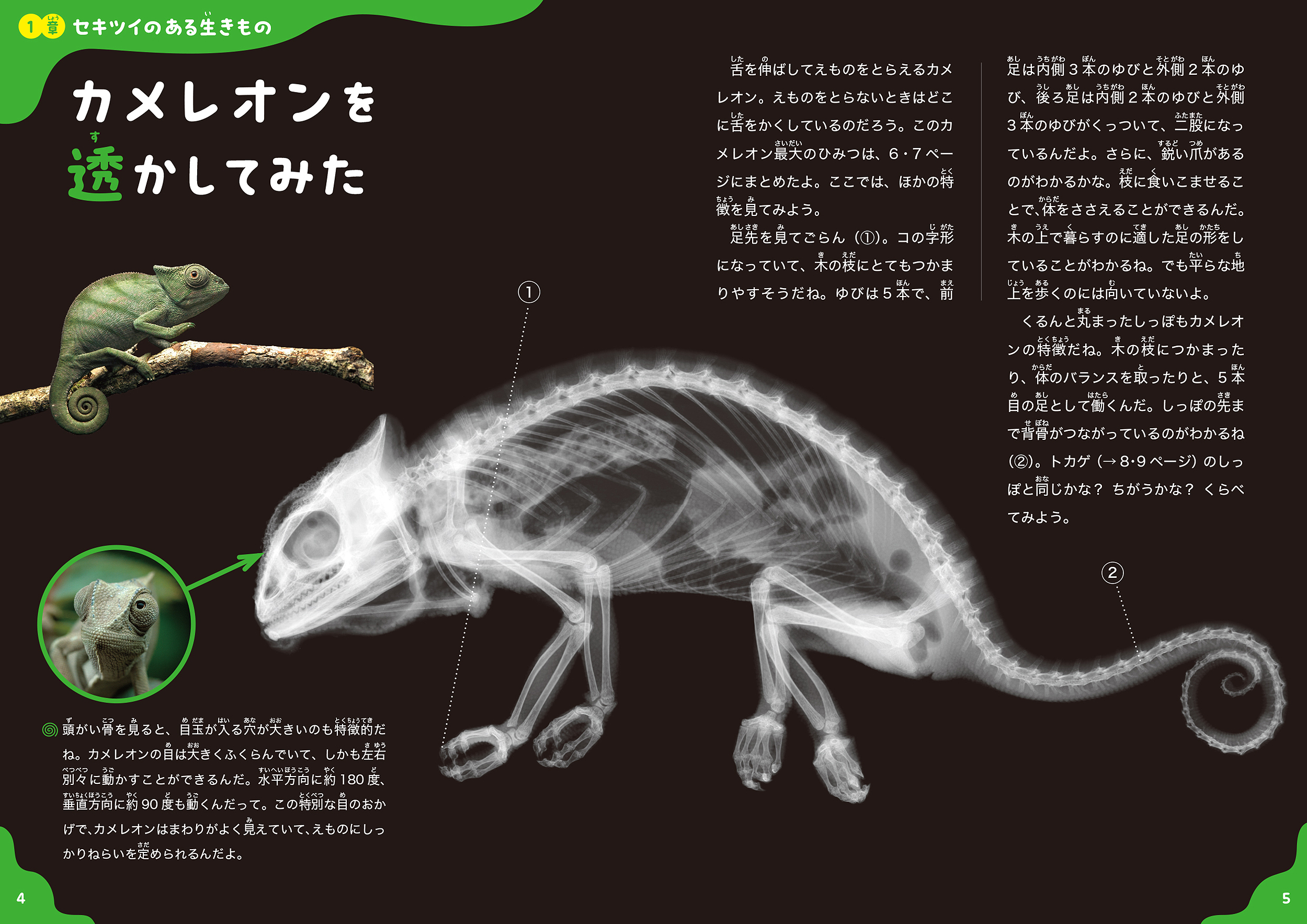 サムネイル画像2